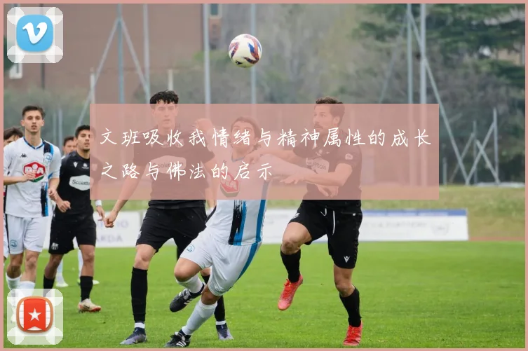 文班吸收我情绪与精神属性的成长之路与佛法的启示