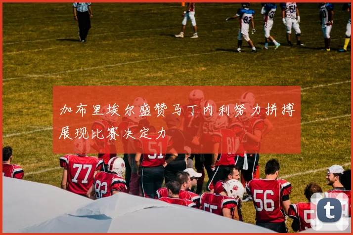加布里埃尔盛赞马丁内利努力拼搏展现比赛决定力